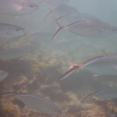 IMG_0697 IMG_0697