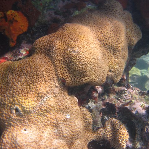 IMG_0699 IMG_0699