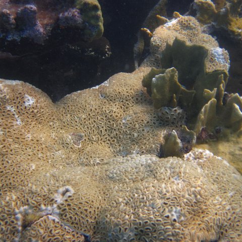 IMG_0700 IMG_0700