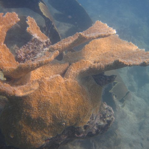 IMG_0703 IMG_0703
