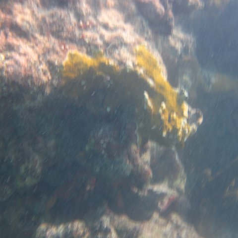 IMG_0707 IMG_0707