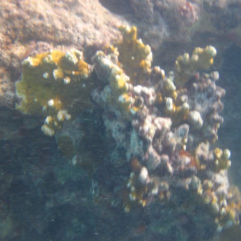IMG_0708 IMG_0708