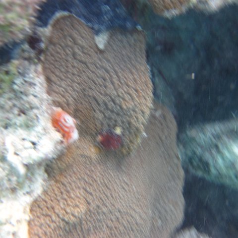 IMG_0710 IMG_0710