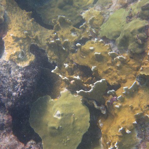 IMG_0713 IMG_0713