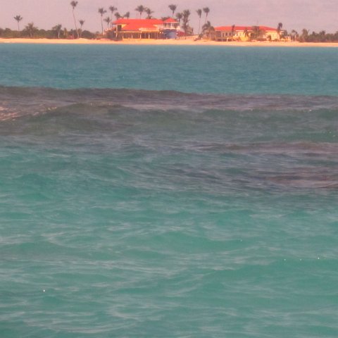 IMG_0718 IMG_0718