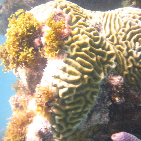 IMG_0724 IMG_0724