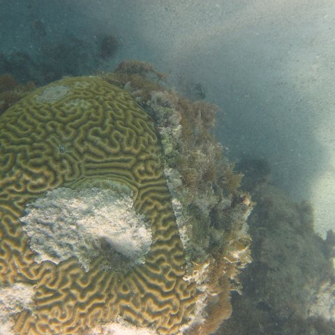 IMG_0730 IMG_0730