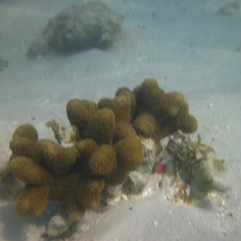 IMG_0732 IMG_0732