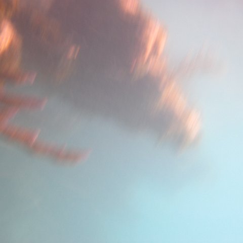 IMG_0733 IMG_0733