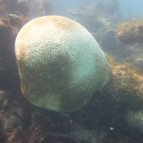 IMG_0735 IMG_0735