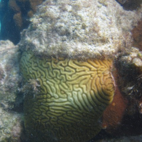 IMG_0738 IMG_0738