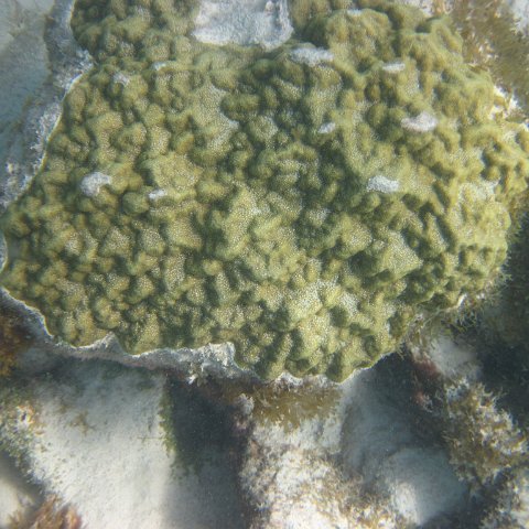 IMG_0740 IMG_0740