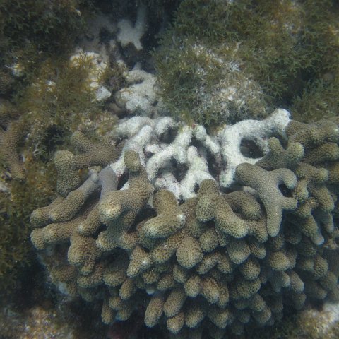 IMG_0743 IMG_0743