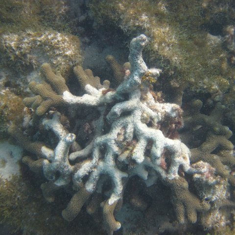 IMG_0744 IMG_0744