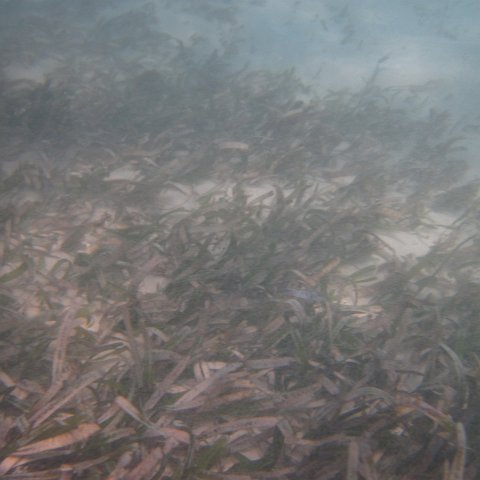 IMG_0765 IMG_0765