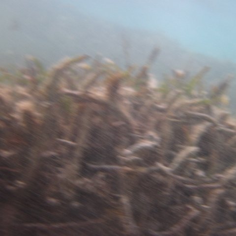 IMG_0770 IMG_0770