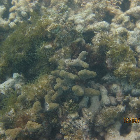 IMG_0963 IMG_0963