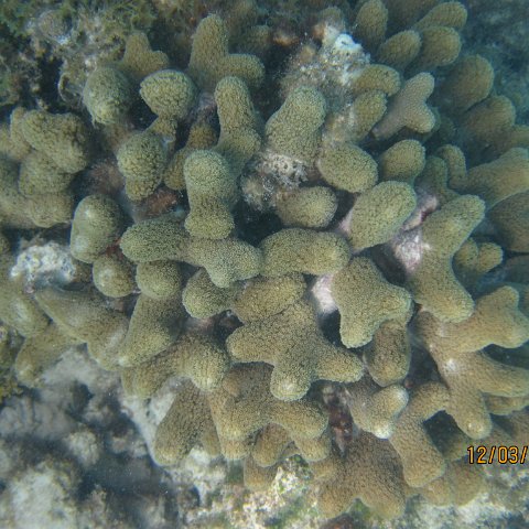 IMG_0964 IMG_0964