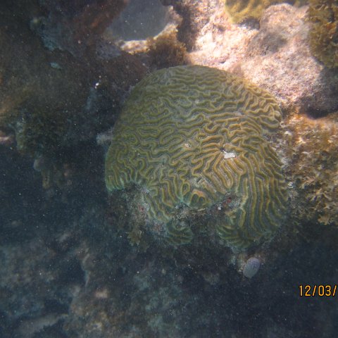 IMG_0967 IMG_0967