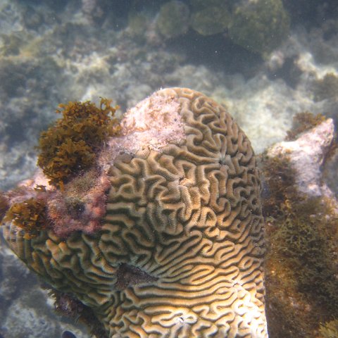 IMG_0969 IMG_0969