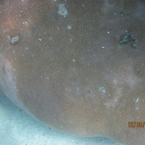 IMG_0970 IMG_0970