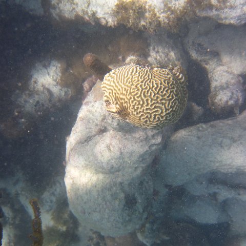 IMG_0974 IMG_0974