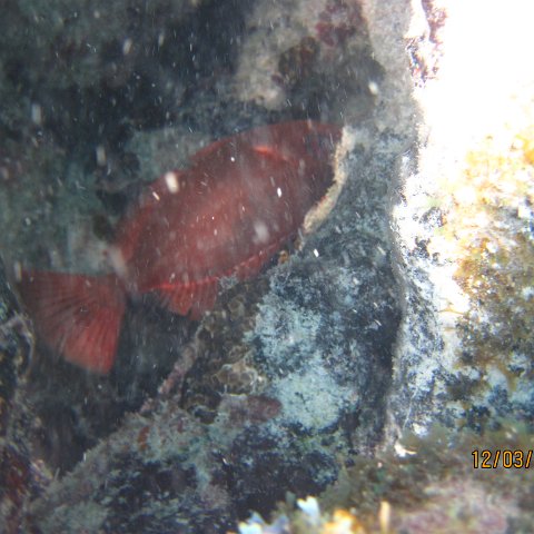 IMG_0975 IMG_0975