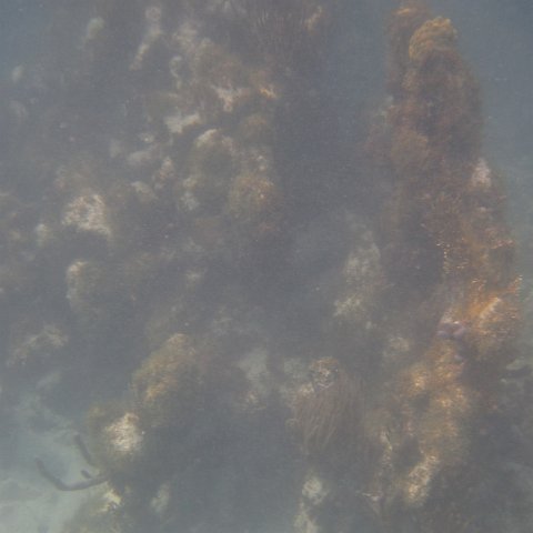 IMG_0976 IMG_0976