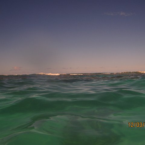IMG_0979 IMG_0979