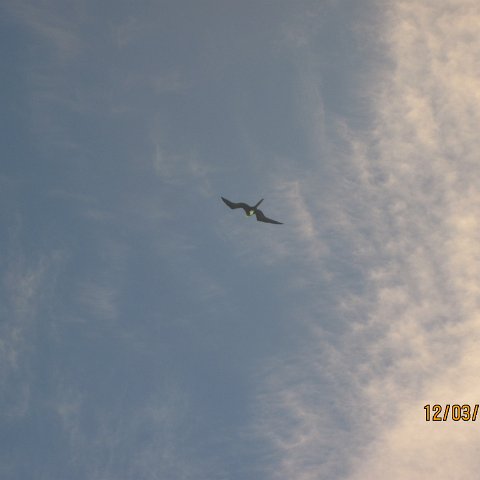 IMG_0981 IMG_0981
