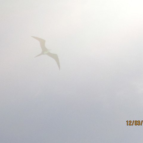 IMG_0982 IMG_0982