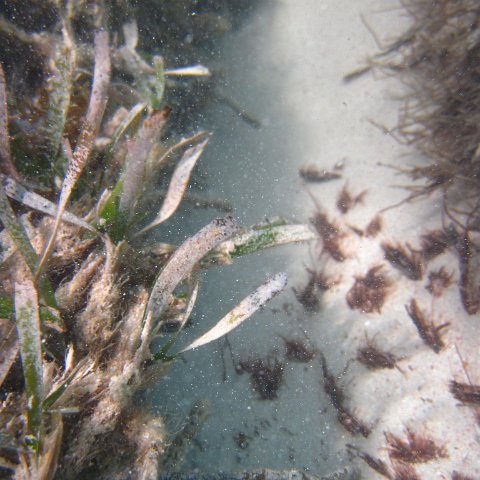 IMG_0987 IMG_0987