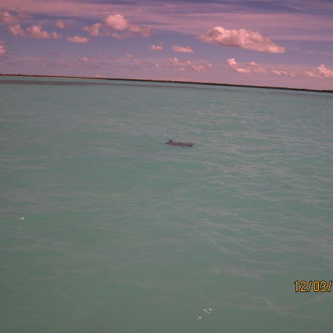 IMG_0991 IMG_0991