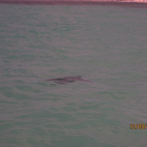 IMG_0994 IMG_0994