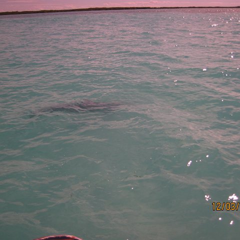 IMG_0995 IMG_0995