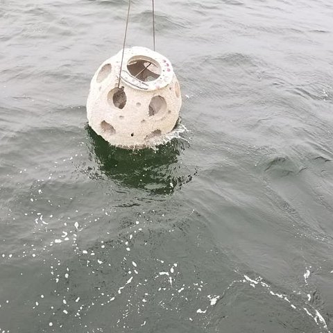 10082018sarasotabay5 10082018sarasotabay5