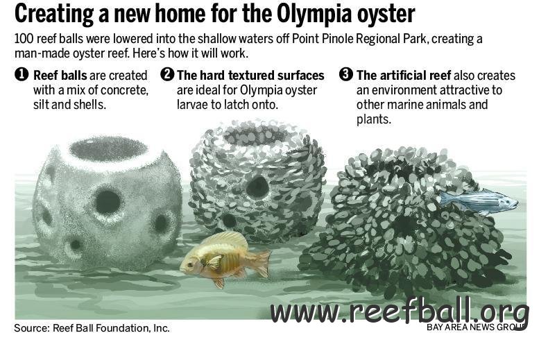 OlyOysterReefs