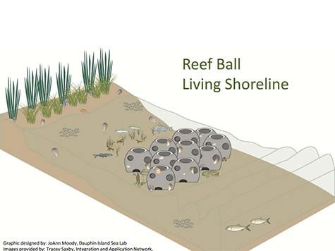 1-Reef-Ball-Living-Shore-Line-Design1