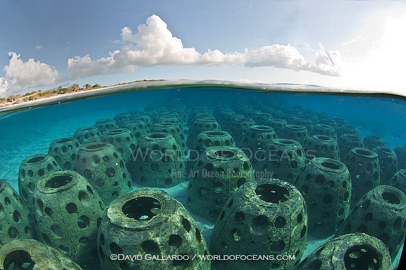 Reef Balls Malcolms Beach