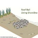 LivingShoreline