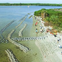 The Design DJI_0027_2 _ Interesting desiign for an oyster br… _ Flickr_files The Design DJI_0027_2 _ Interesting desiign for an oyster br… _ Flickr_files