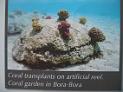borabora