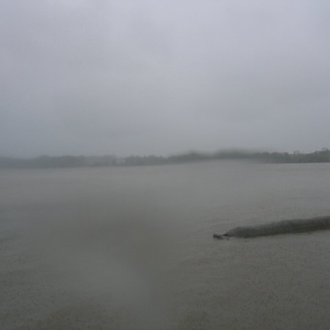 IMG_9350 IMG_9350