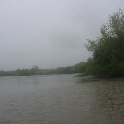 IMG_9365 IMG_9365
