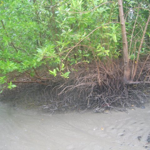 IMG_9377 IMG_9377