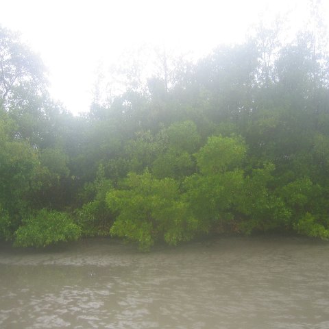 IMG_9381 IMG_9381