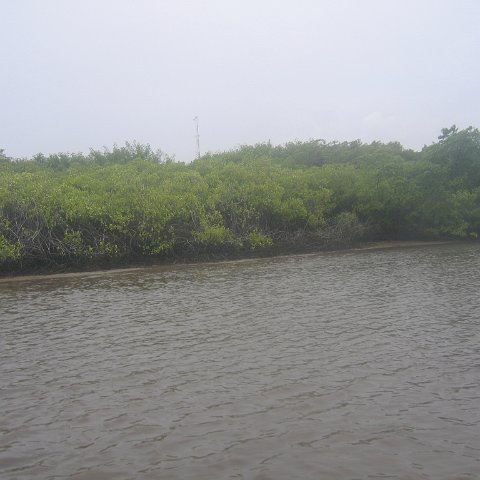 IMG_9401 IMG_9401