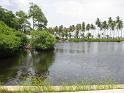 centraleastcoastmangrovereserve