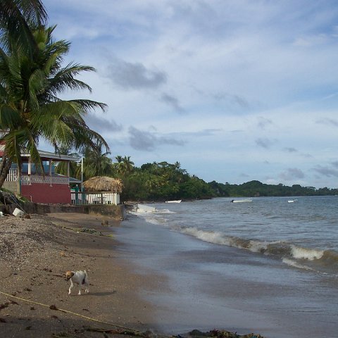 westerlyguayaguayarebaymangroves