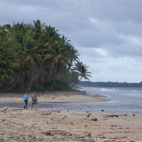 100_2633 100_2633